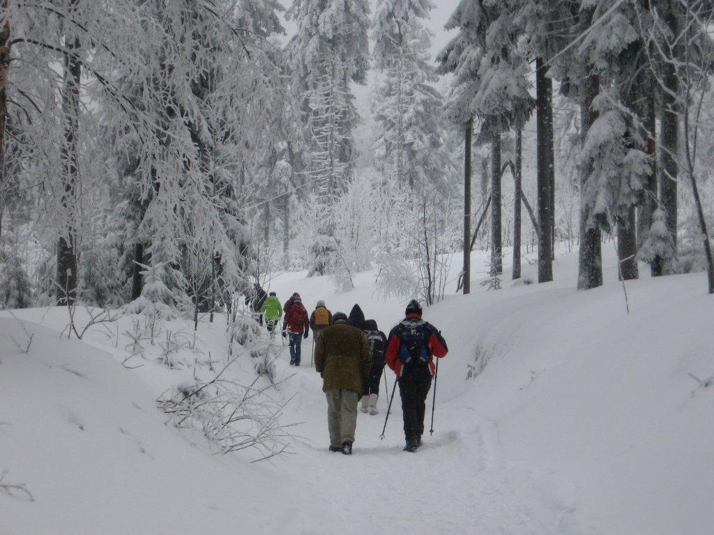 Ferienhaus Ederer Waldmünchen Buitenkant foto