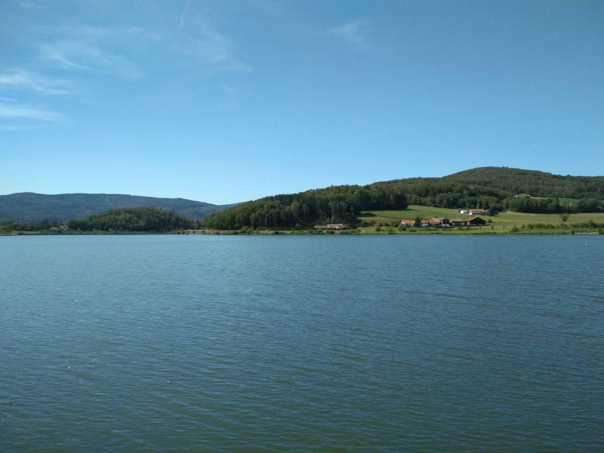 Ferienhaus Ederer Waldmünchen Buitenkant foto