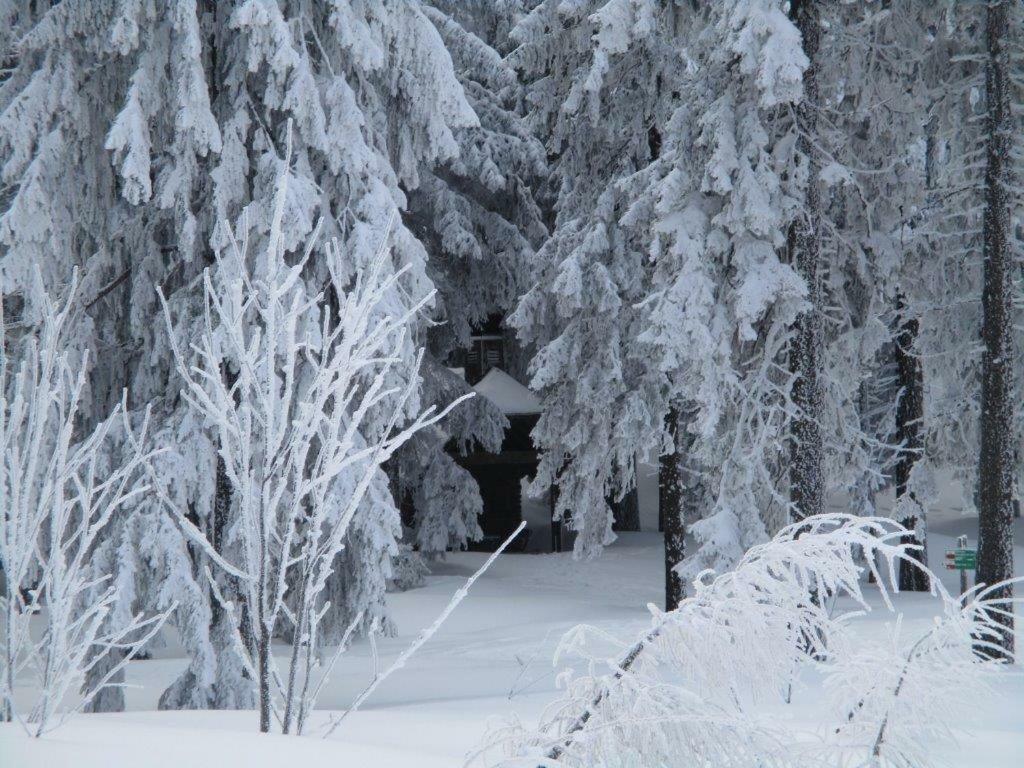 Ferienhaus Ederer Waldmünchen Buitenkant foto