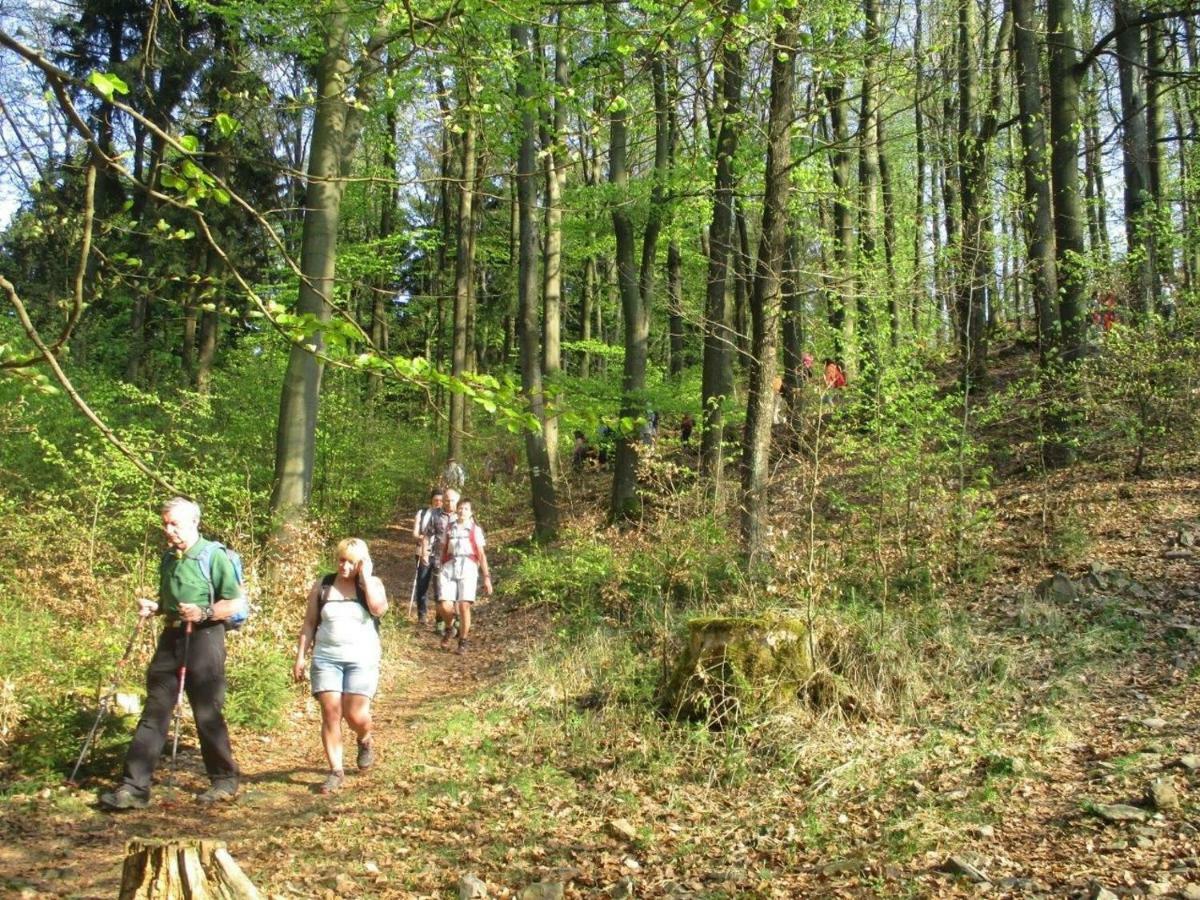 Ferienhaus Ederer Waldmünchen Buitenkant foto